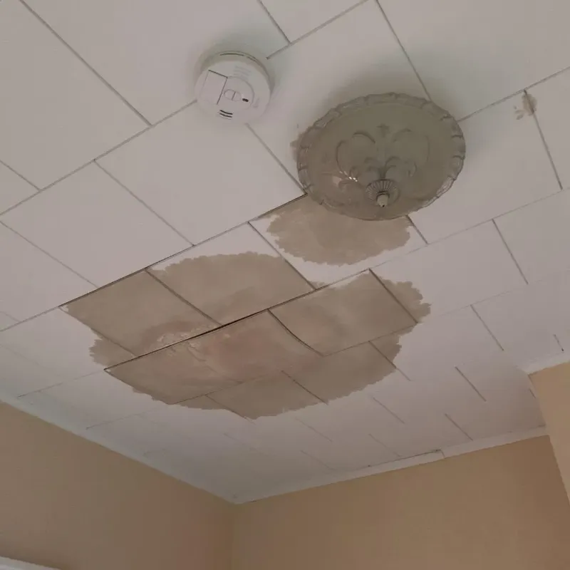 Ceiling Water Damage Repair in Bloomingdale, IL