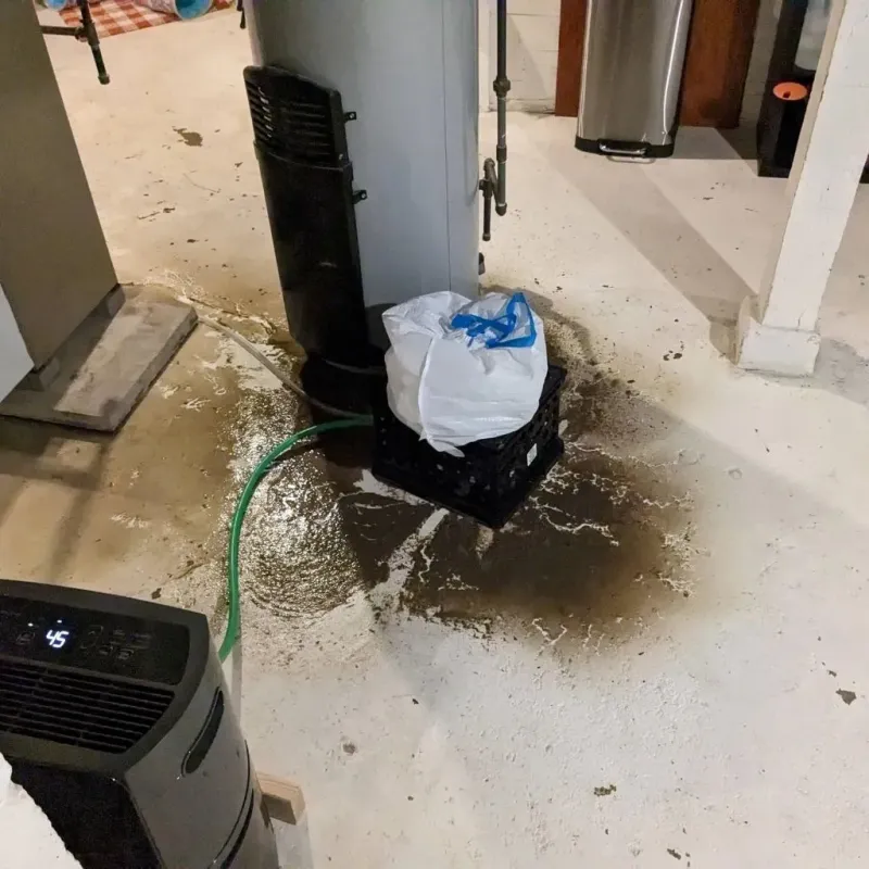 Sewage Backup Cleanup Service in Bloomingdale, IL